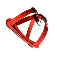 EZYDOG CHEST PLATE hám - főkép